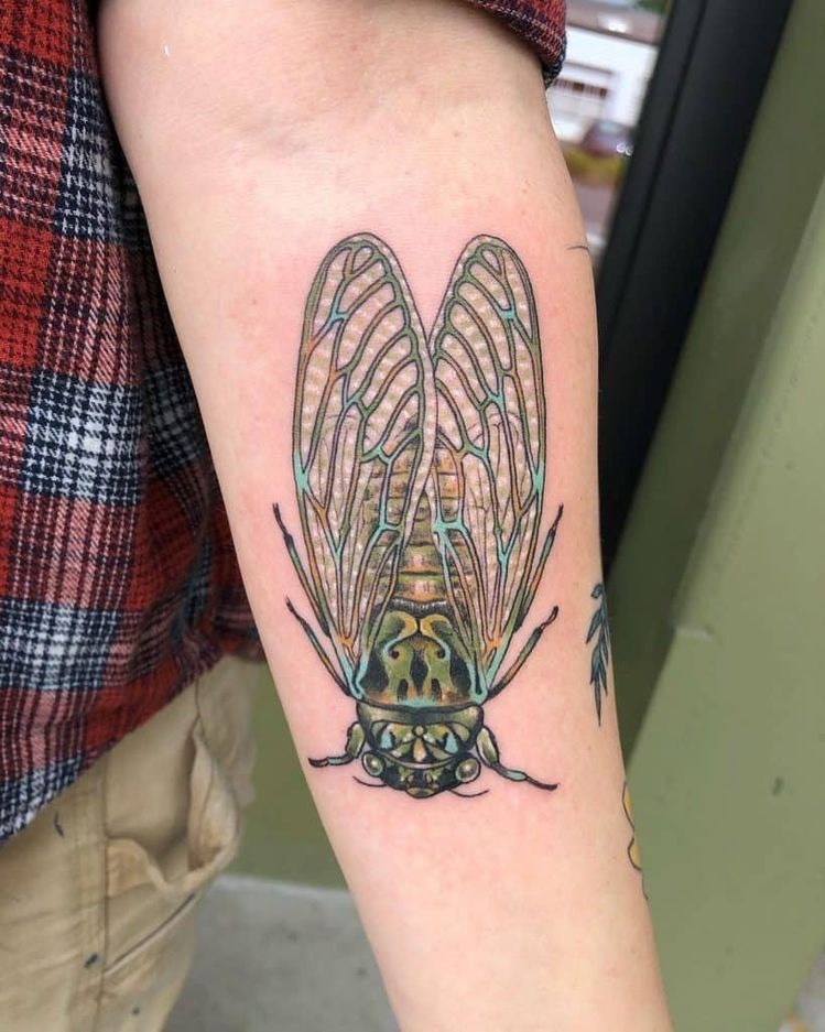 Realistic Cicada Forearm Design Tattoo Design