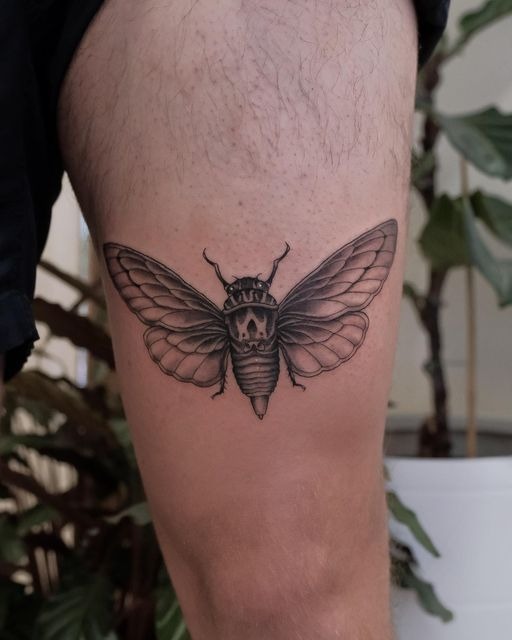 Scientific Cicada Stencil Tattoo Design