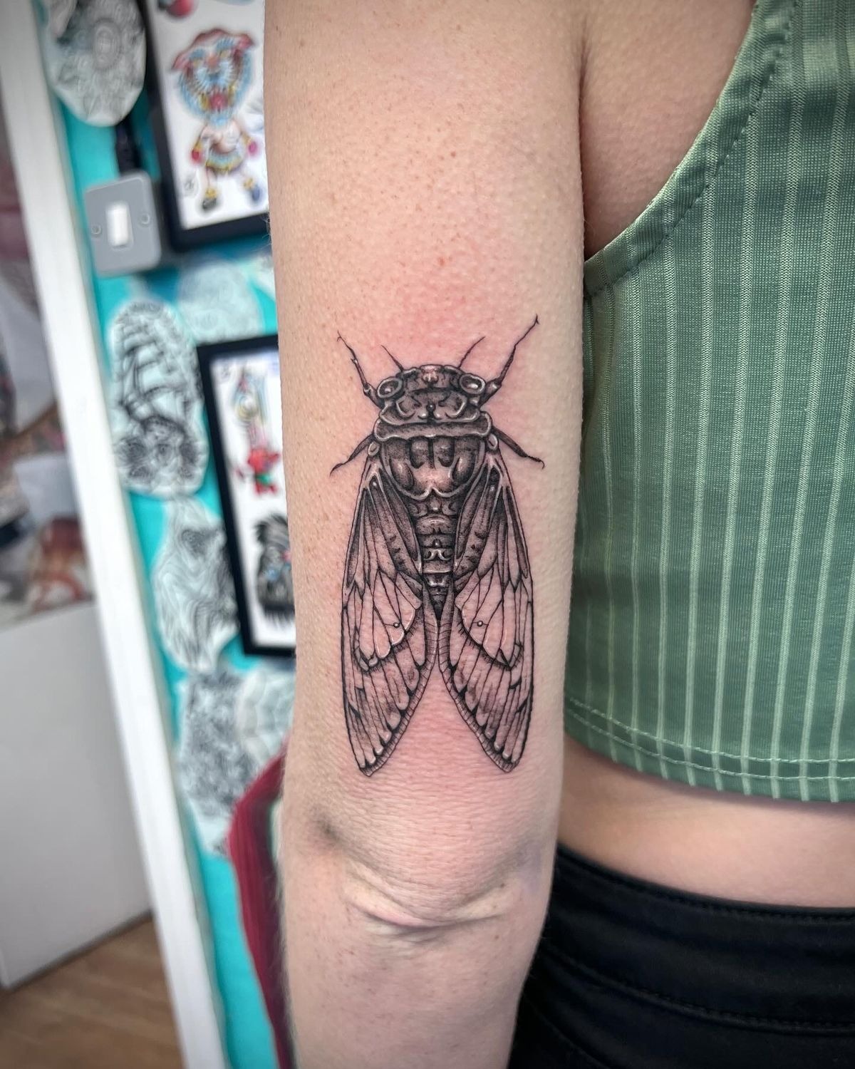 Wings Open Inner Arm Cicada Tattoo Design