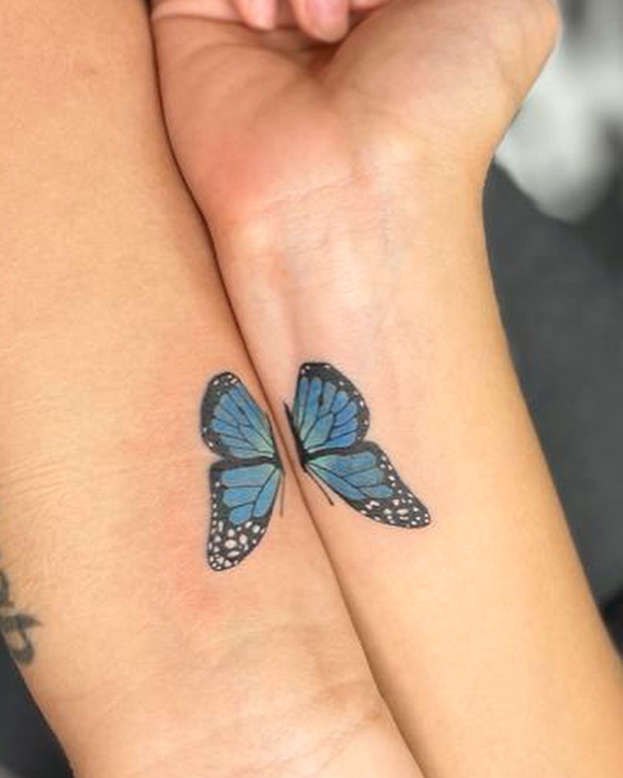 Split Blue Butterfly Cousin Tattoo Tattoo Design