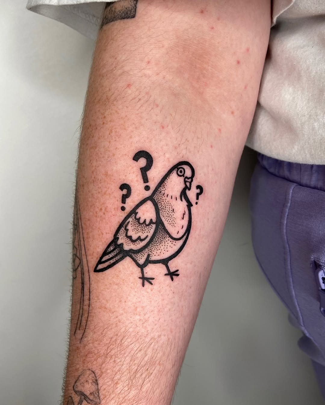 Pigeon tattoo with playful question marks Tattoo Design
