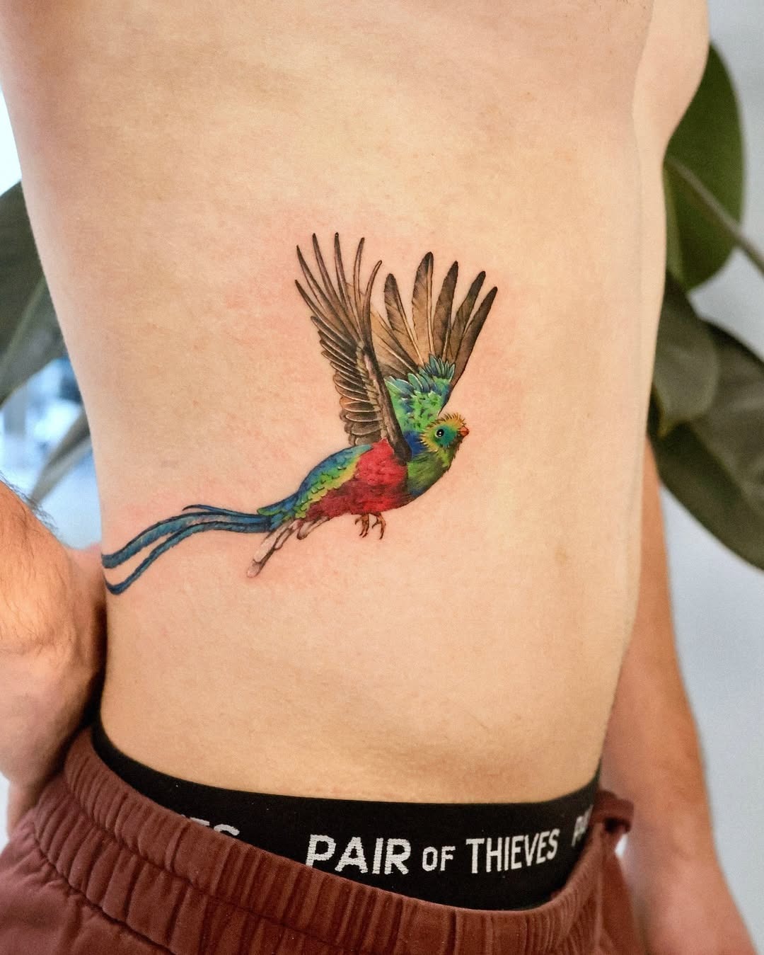 Vibrant parrot tattoo on rib cage area Tattoo Design