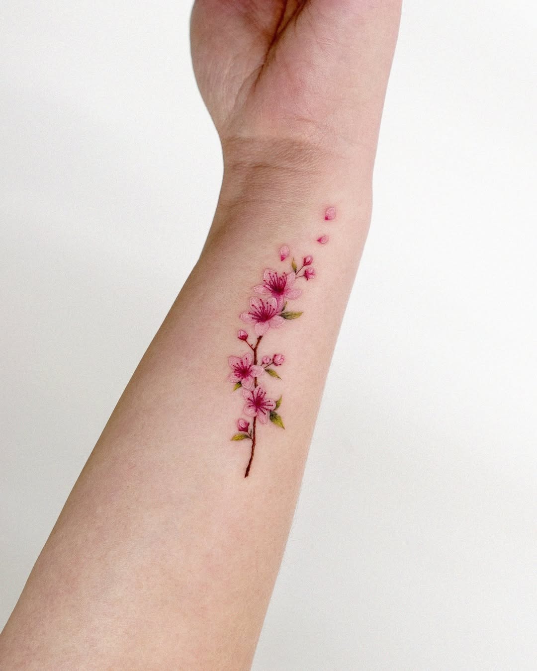 Delicate cherry blossom tattoo on the arm Tattoo Design
