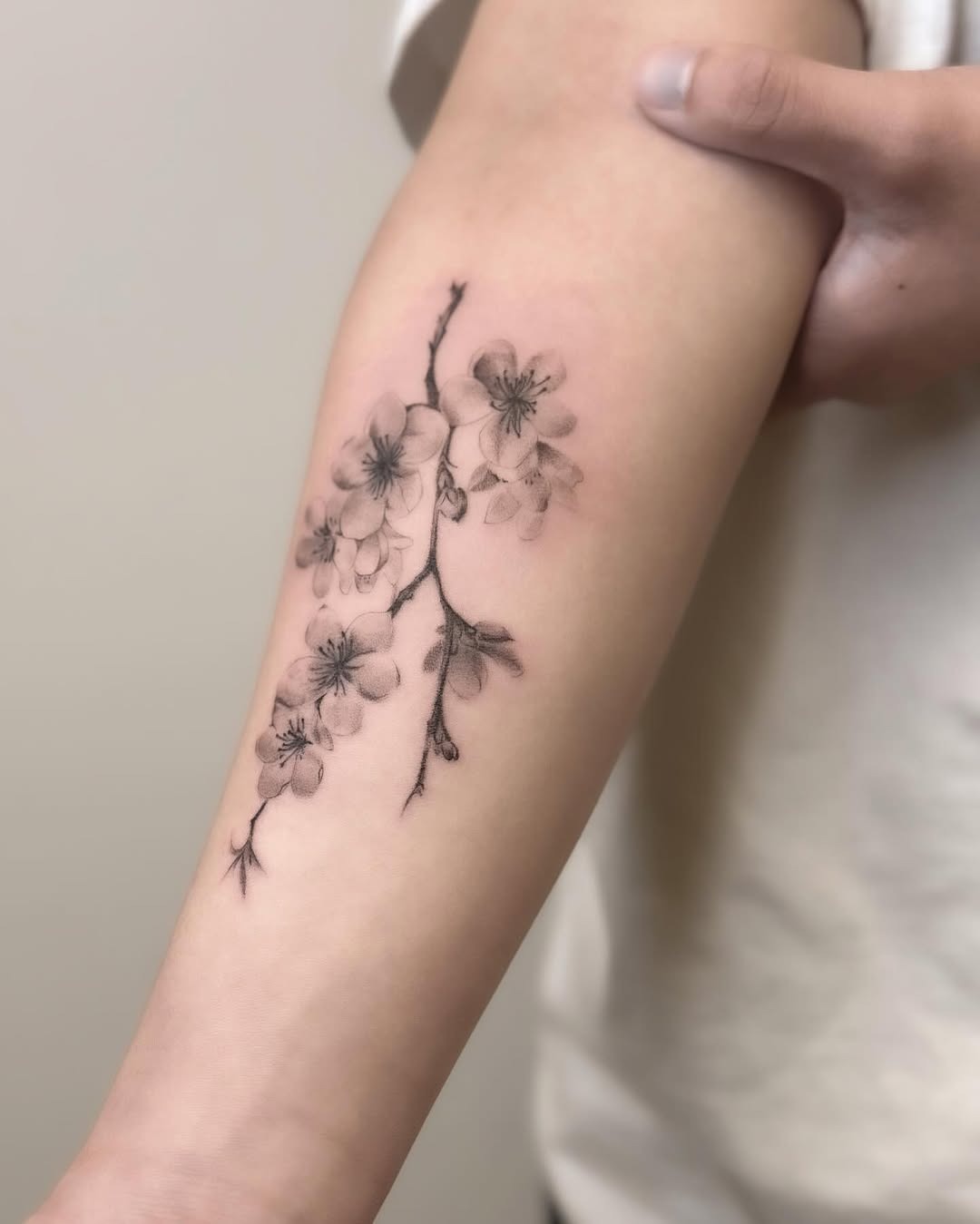 Elegantly detailed cherry blossom tattoo on arm Tattoo Design