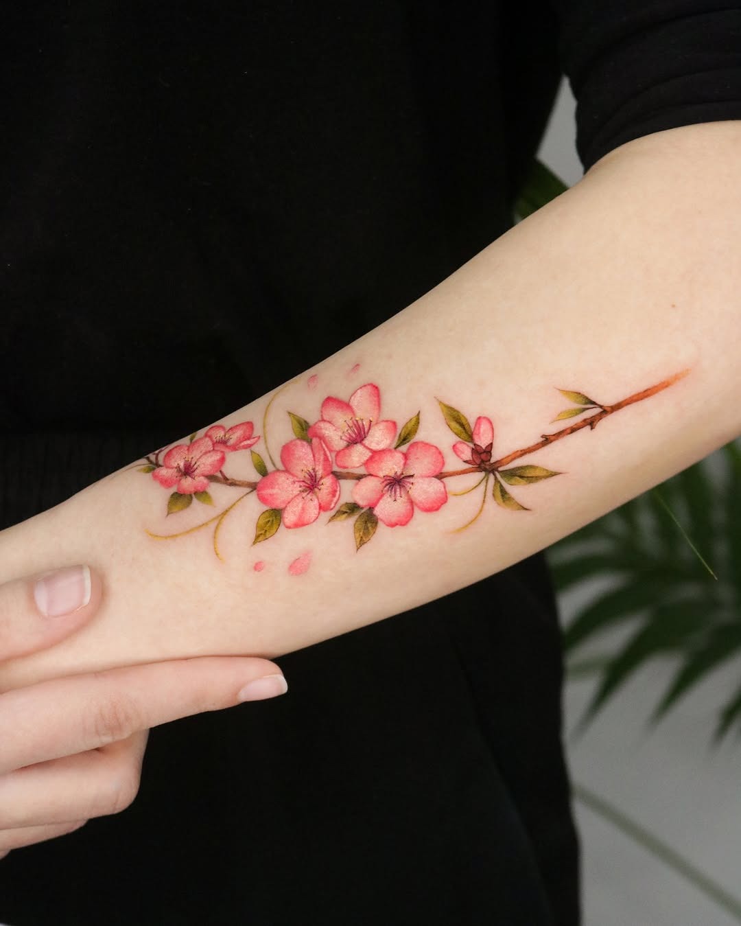 Graceful cherry blossom tattoo on forearm Tattoo Design