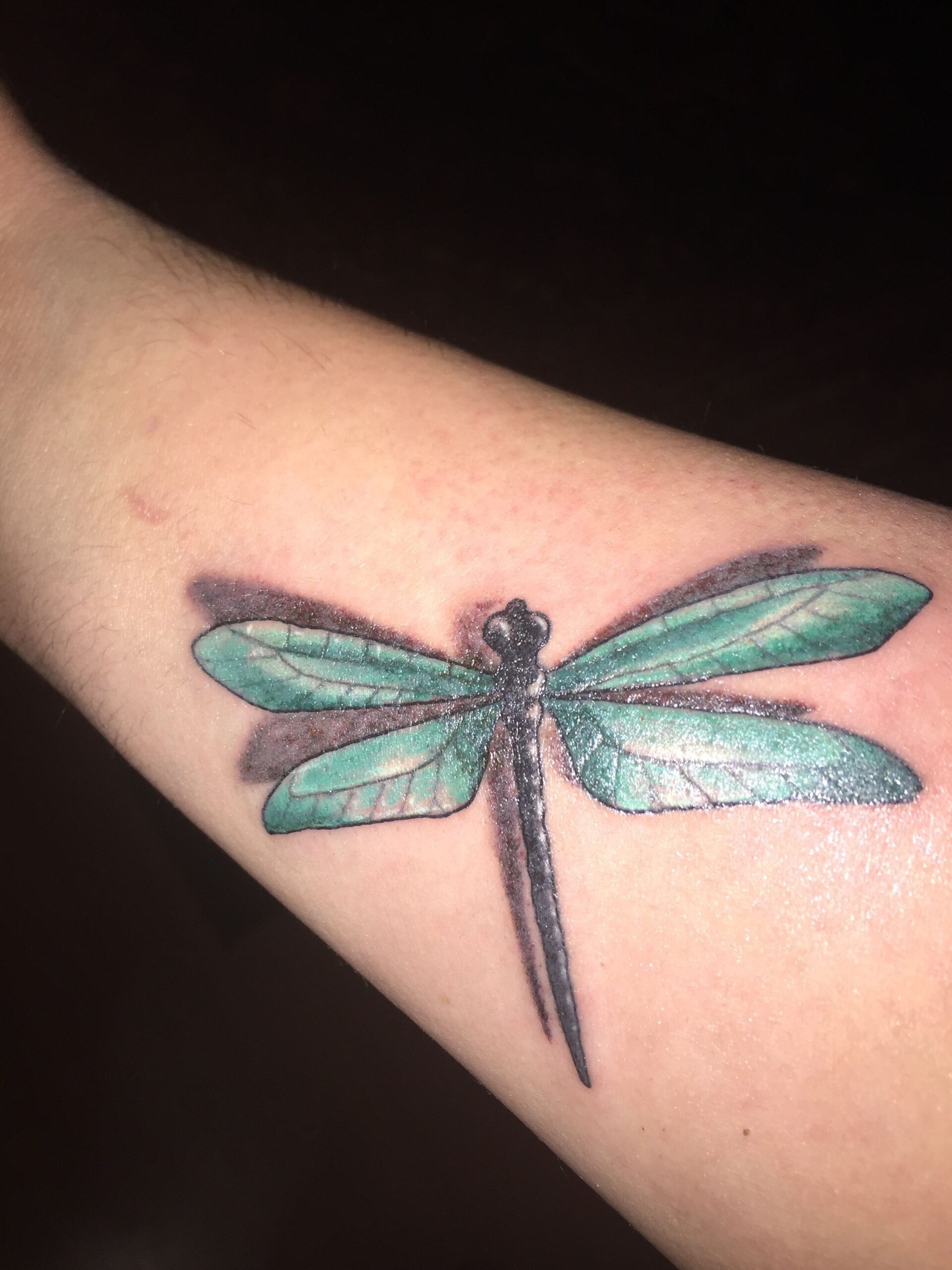 Small Rainbow Shaded Dragonfly Tattoo Designs Tattoo Design