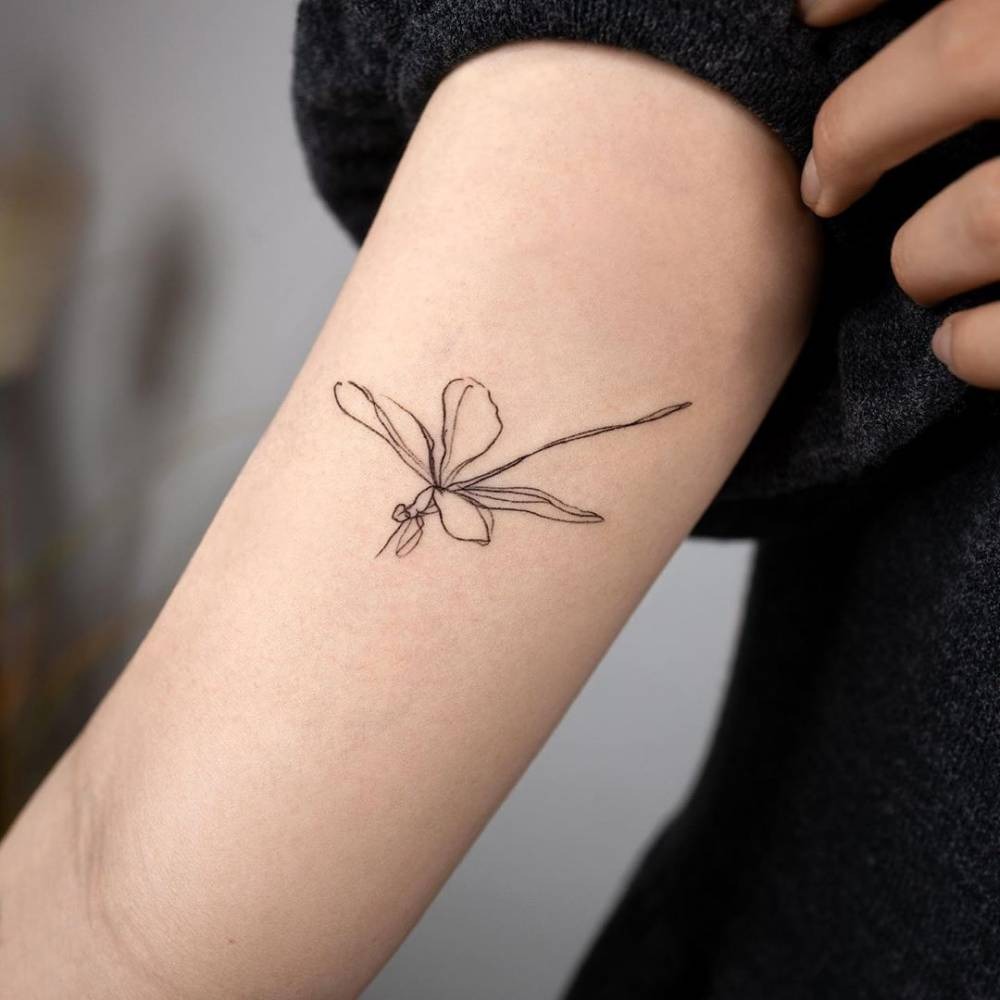 Very Small Dragonfly Tattoo Idea Tattoo Design