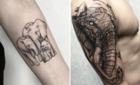 Creative Elephant Tattoo Ideas With Striking Visual Contrast