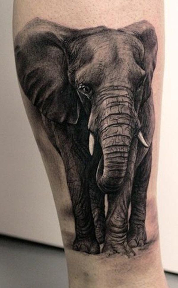 Soft Shaded Elephant Portrait Tattoo Tattoo Design