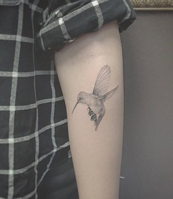 Softly Shaded Gray Hummingbird Tattoo Tattoo Design