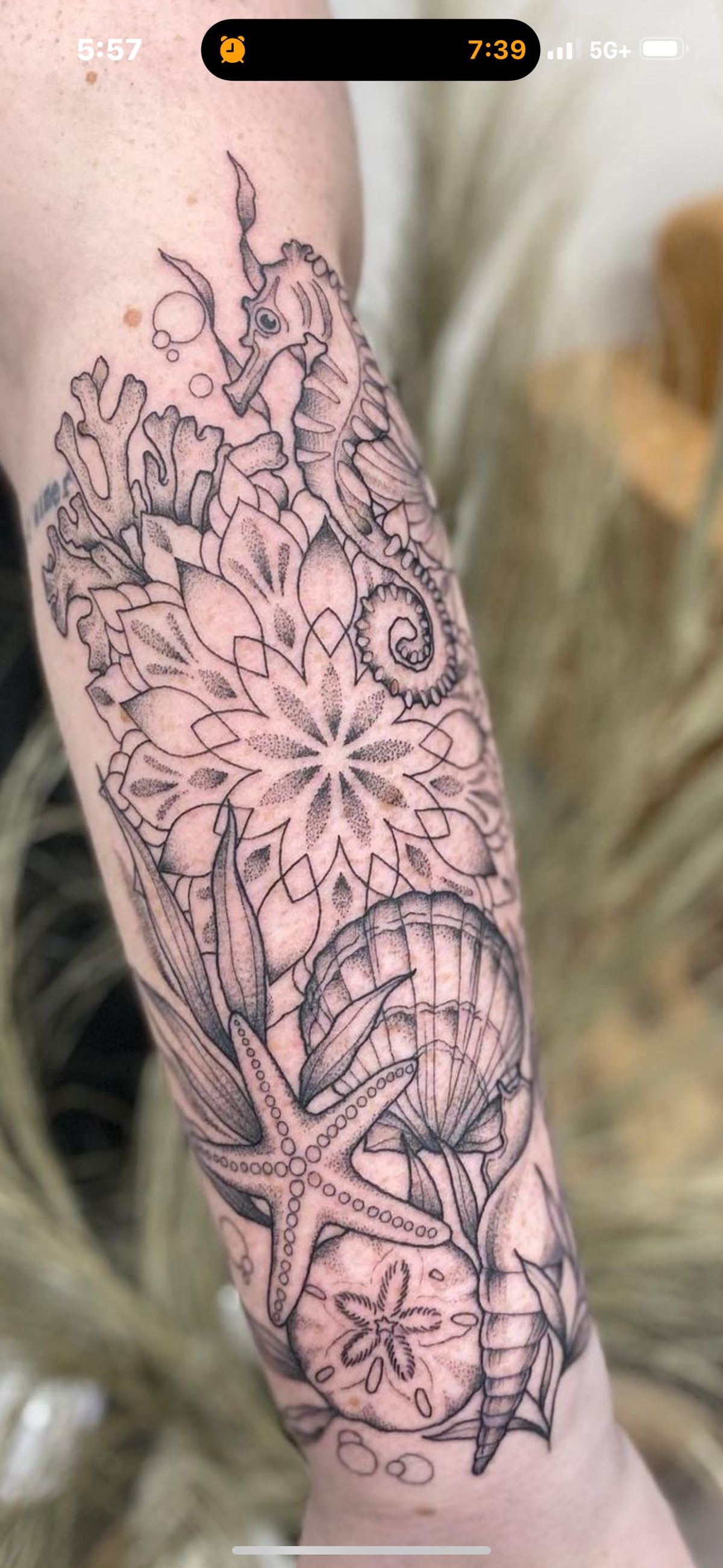 Mandala Ocean Shell and Seahorse Design Tattoo Design
