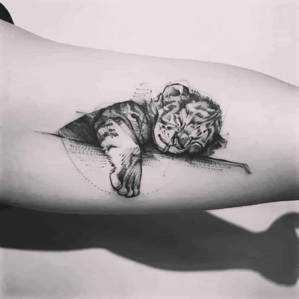 What’s Cuter Than a Sleeping Kitten Tattoo? Tattoo Design