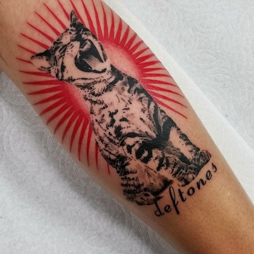 Fierce Cat with Radiating Red Halo Tattoo Design
