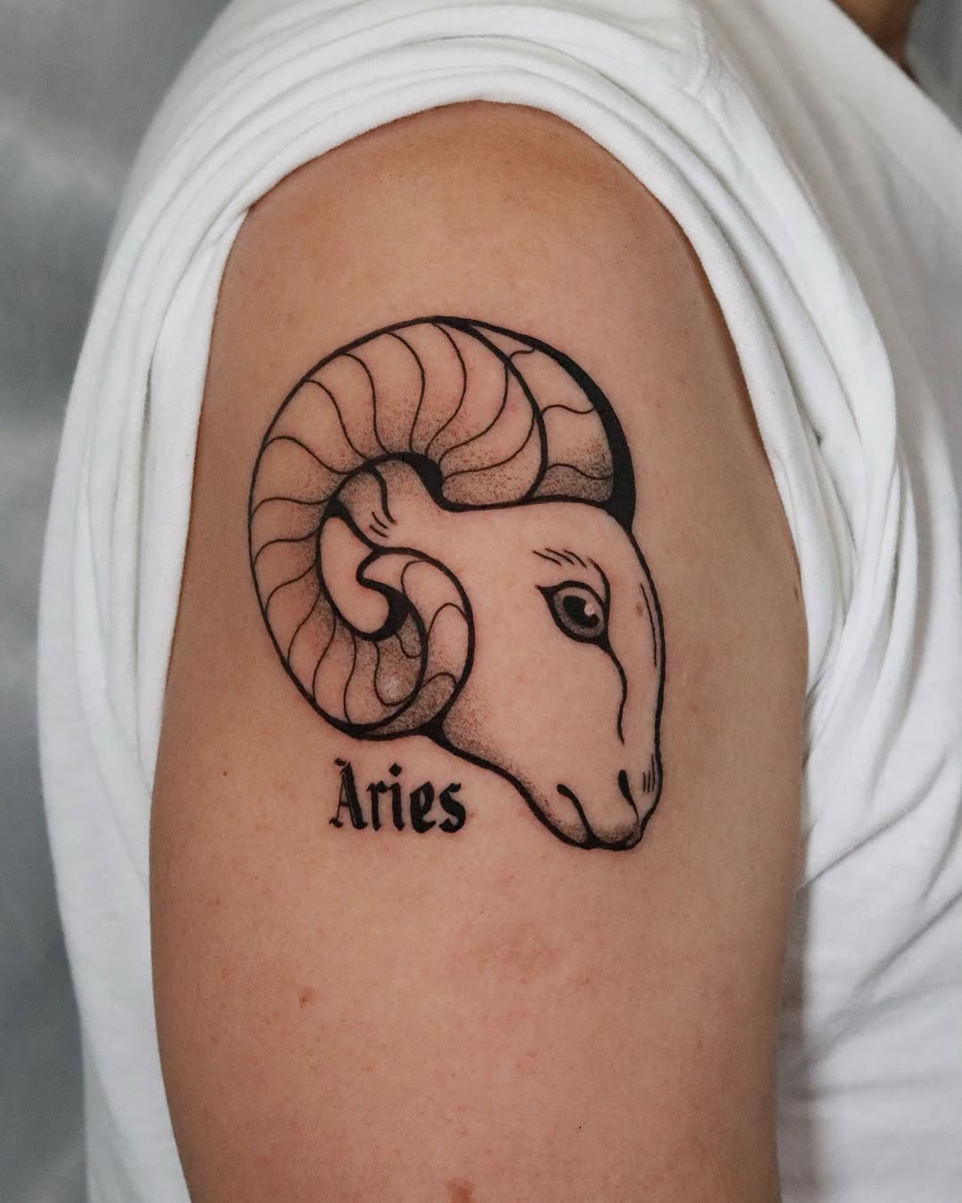 Elegant Aries Ram Tattoo with Bold Lines Tattoo Design