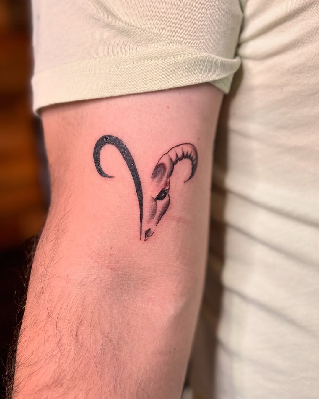 Stylish Aries Ram Head Tattoo on Arm Tattoo Design