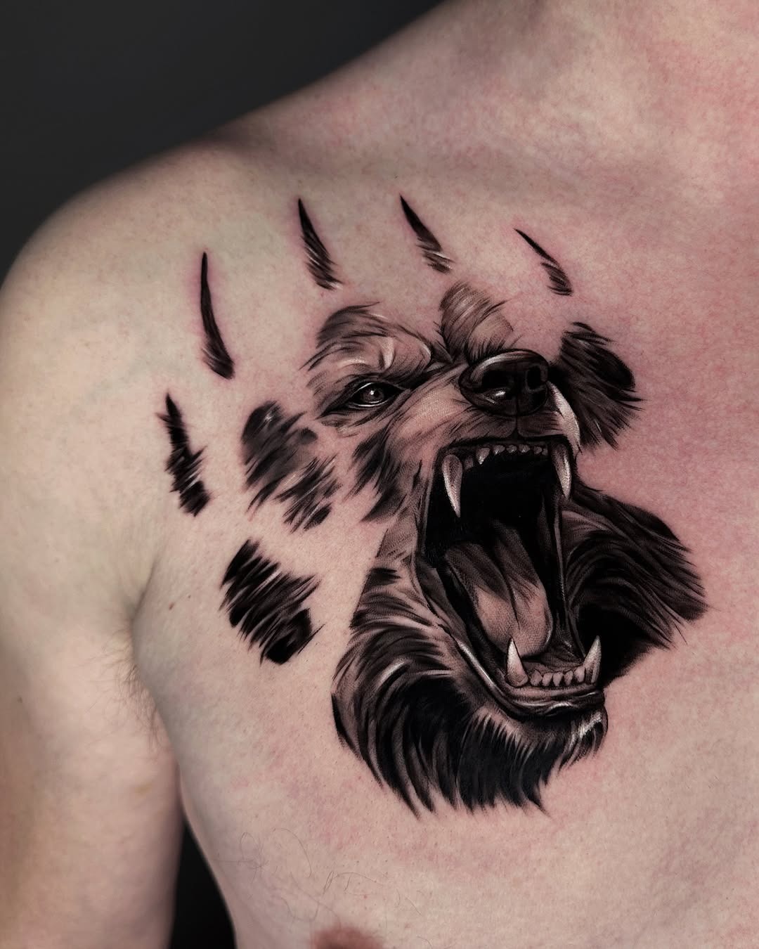 This tattoo features a striking bear roaring with intensity, set against claw marks that add to its dramatic flair.