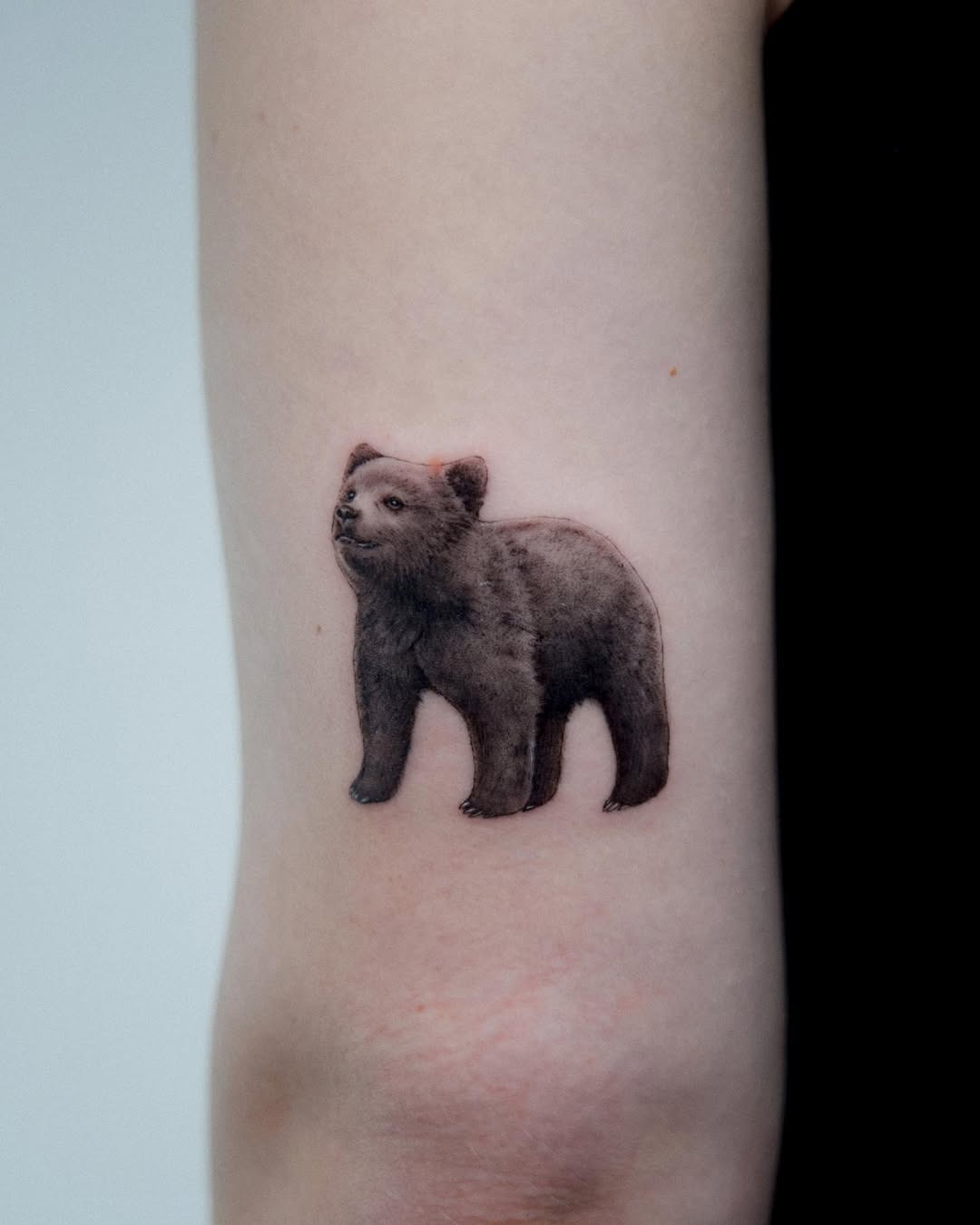 This tattoo features a beautifully detailed bear, capturing its essence in stunning realism.