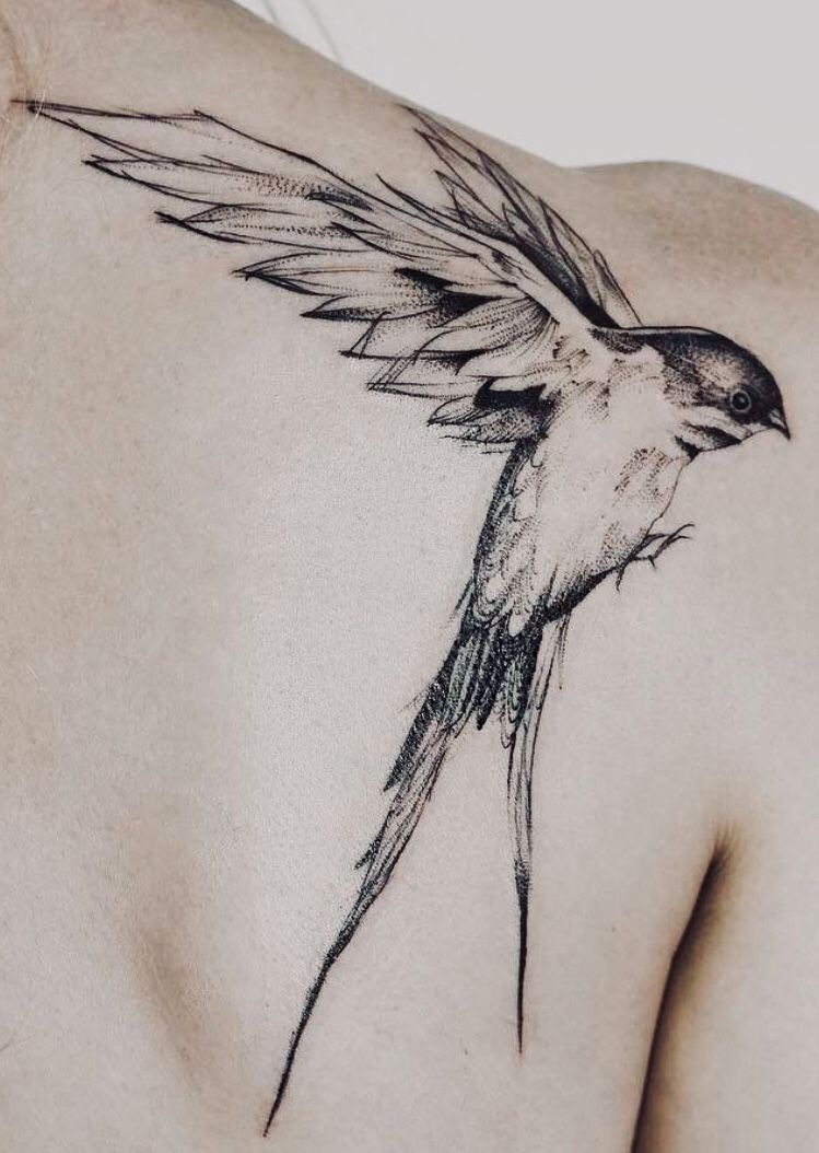 Realistic Swallow Shoulder Tattoo in Grayscale Tattoo Design