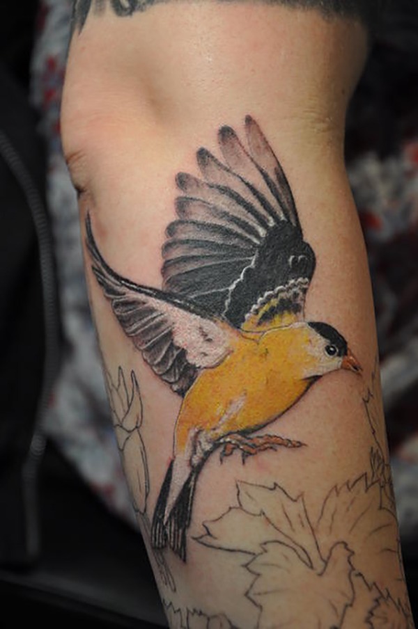 Semi Realistic American Goldfinch Bird Tattoo Tattoo Design