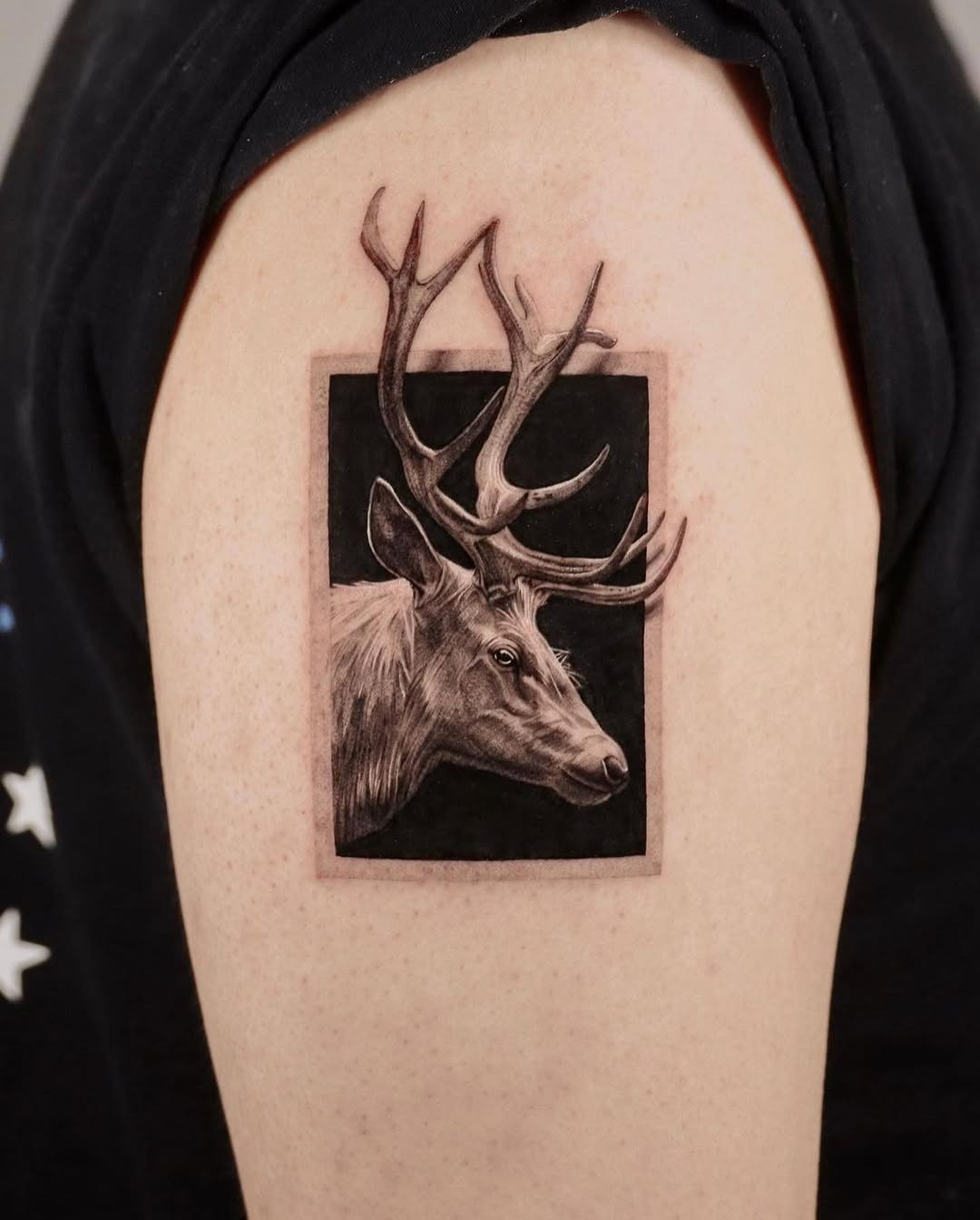 Majestic stag tattoo within a frame Tattoo Design
