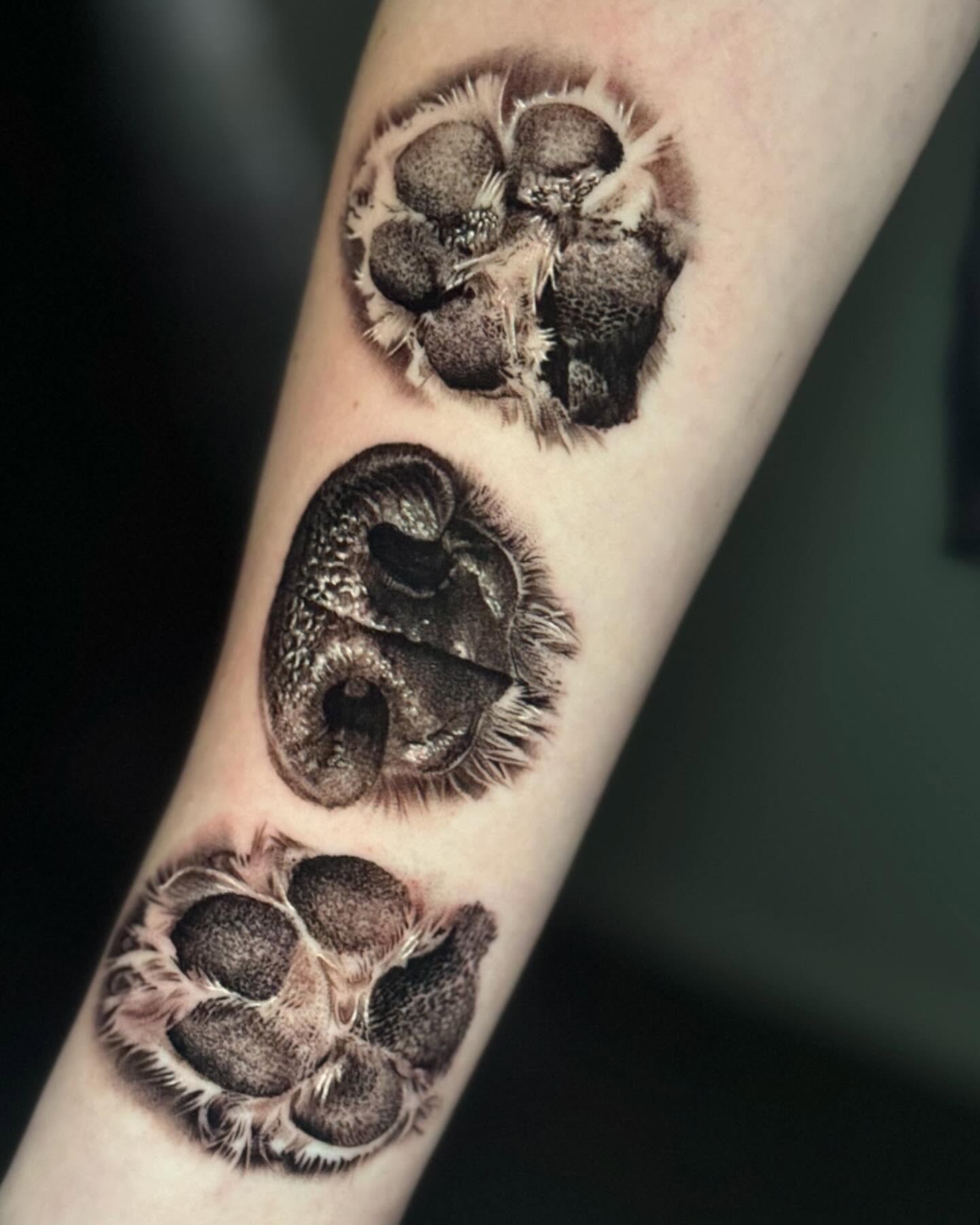 Realistic Dog Nose and Paw Tattoo Tattoo Design