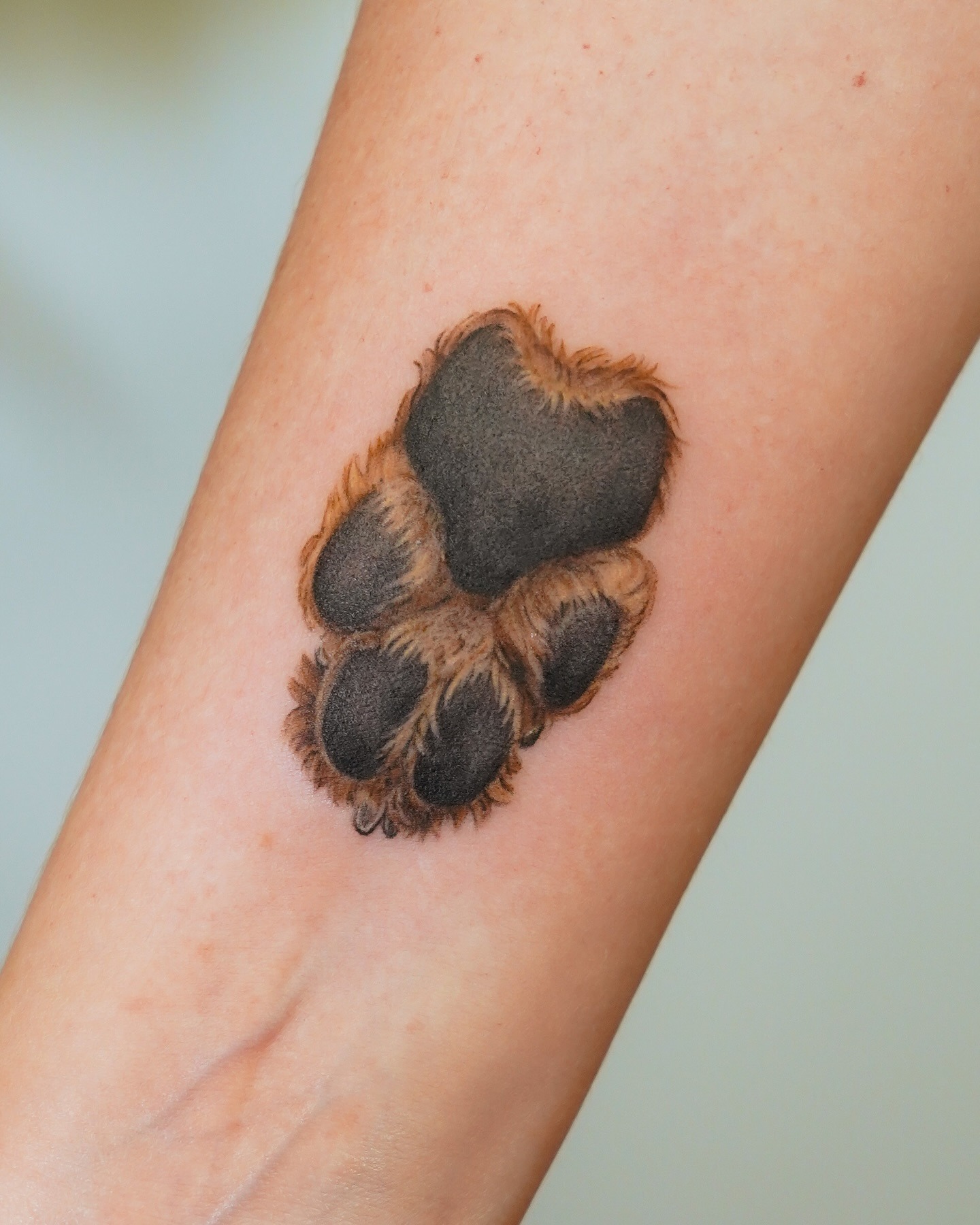 Realistic Furry Dog Paw Tattoo Tattoo Design