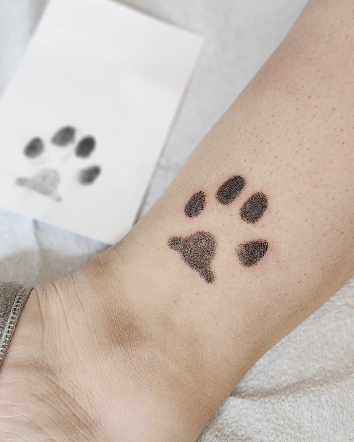Simple Dog Paw Print Tattoo Tattoo Design