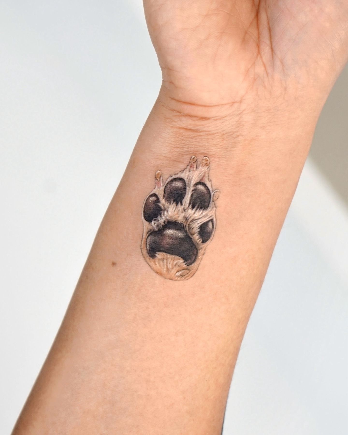 Tiny Wrist Dog Paw Tattoo Tattoo Design