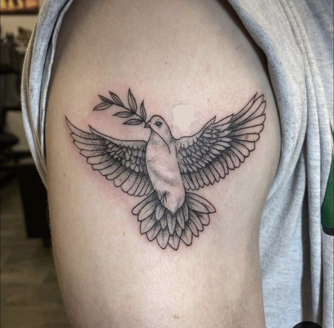 Dove With Olive Branch Tattoo Tattoo Design