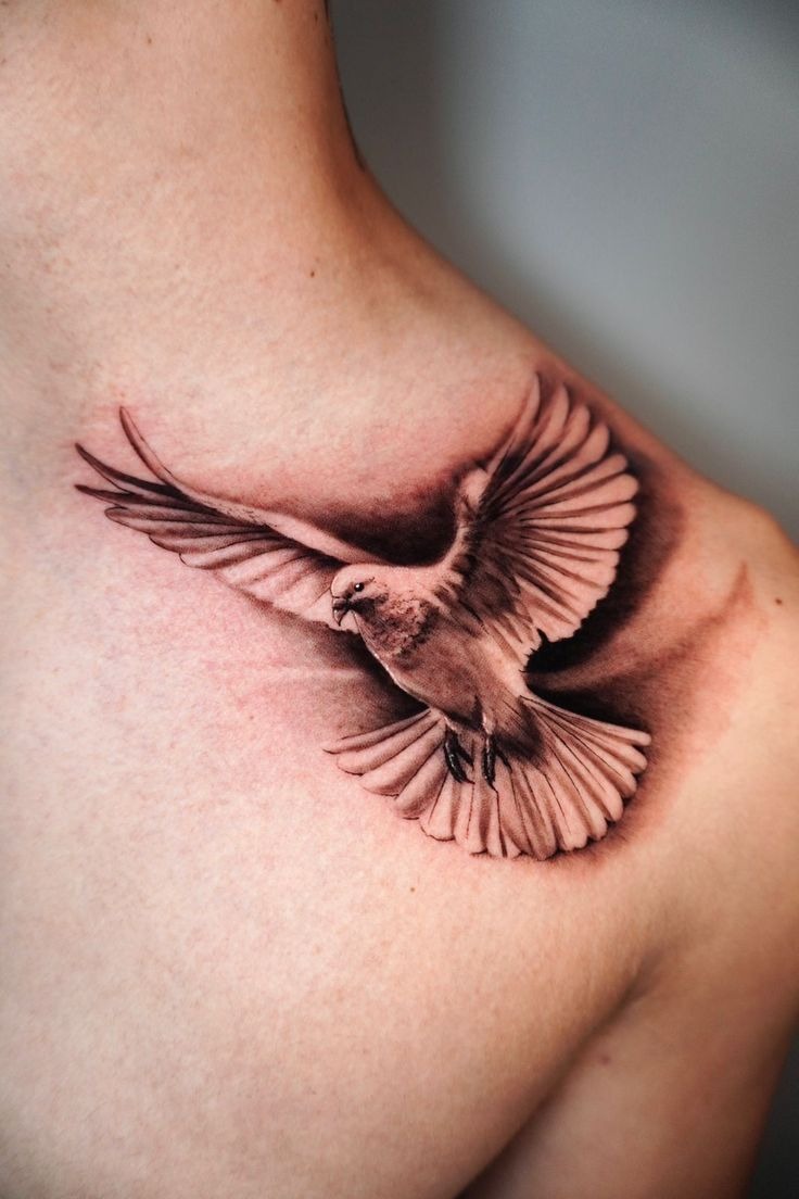 Realistic Collarbone Dove Tattoo Tattoo Design