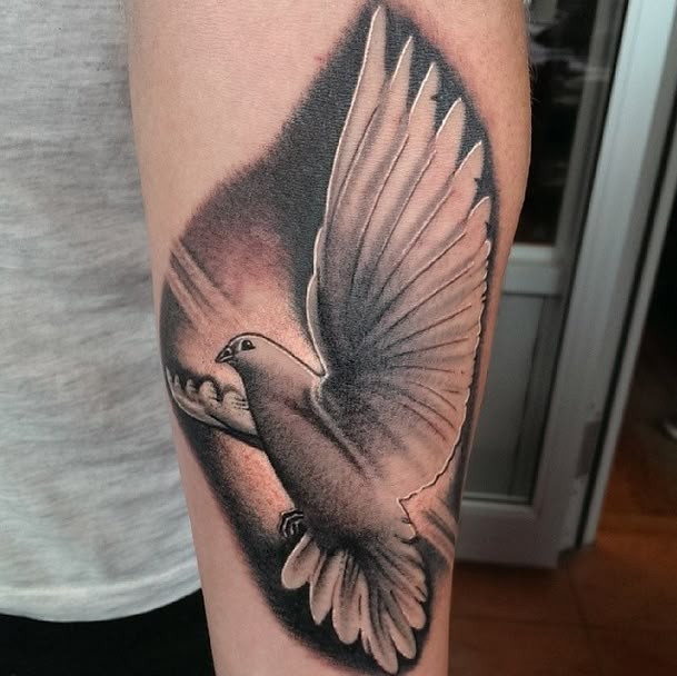 Shaded Dove Arm Tattoo Tattoo Design