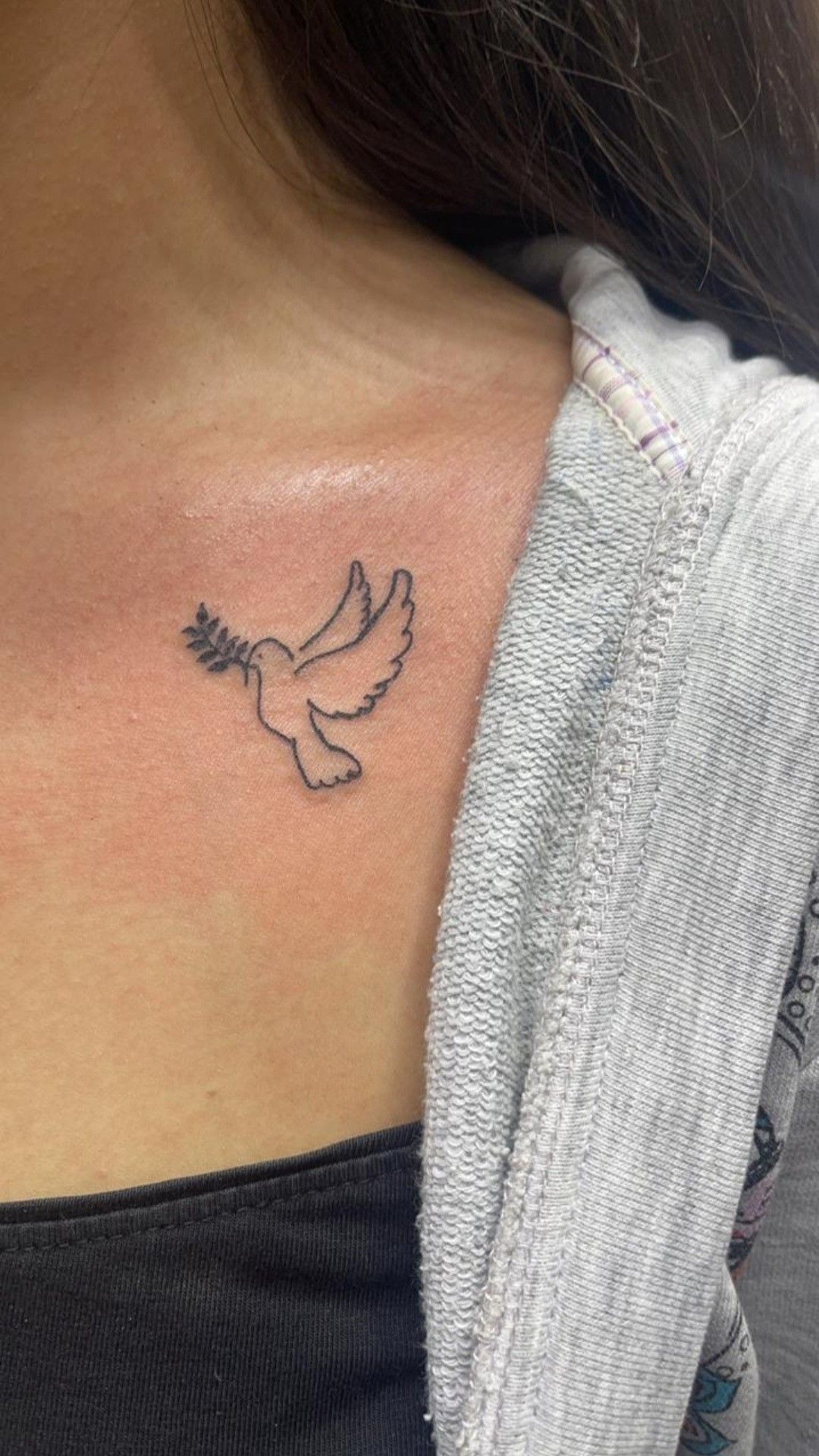 Tiny Dove Collarbone Tattoo Tattoo Design