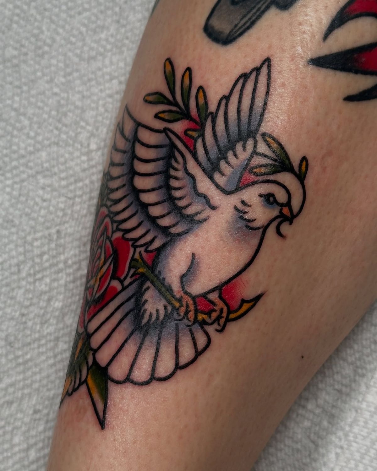 Traditional Dove and Rose Tattoo Tattoo Design