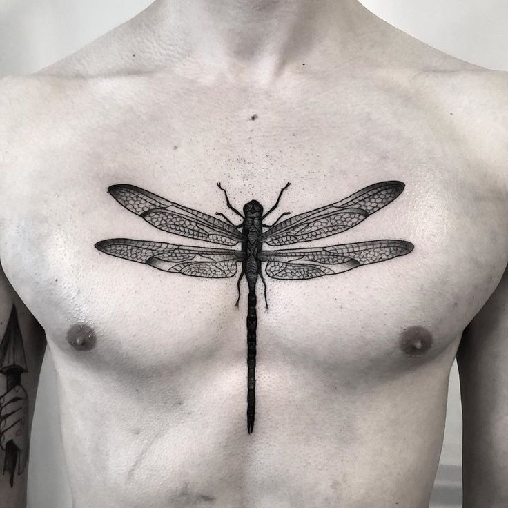 Centerpiece Design: Dragonfly on the Chest Tattoo Design