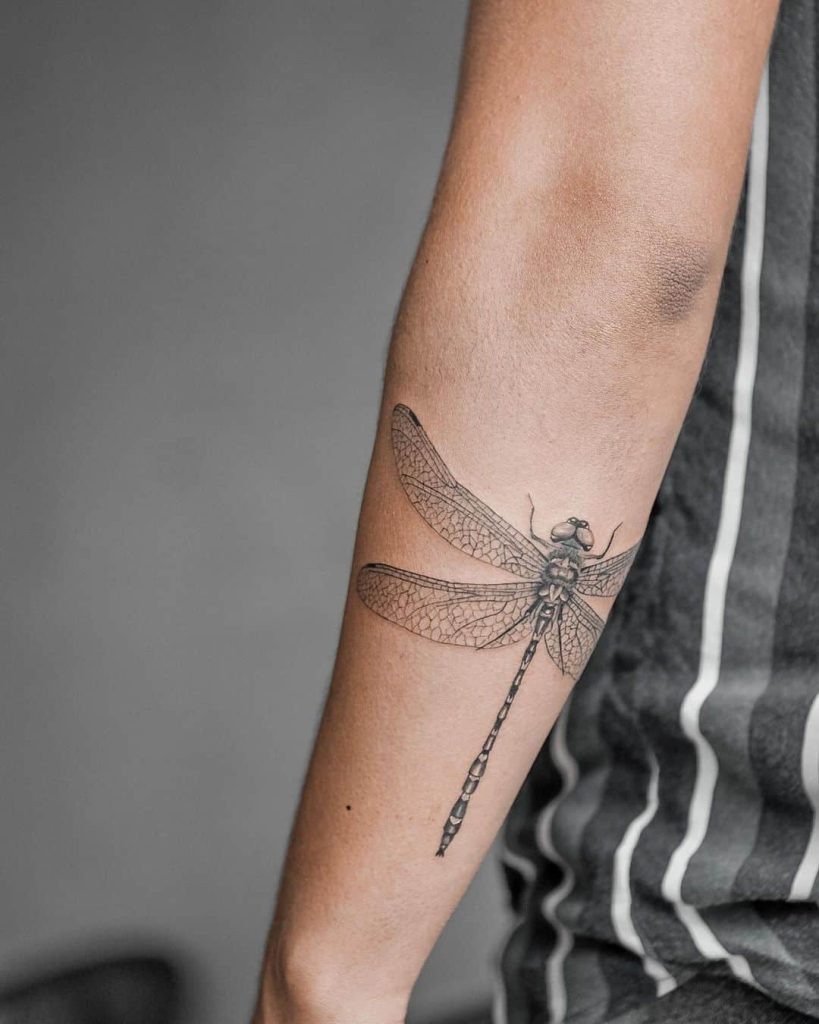 Delicate and Detailed: Dragonfly on the Forearm Tattoo Design