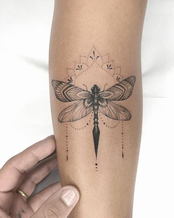 Nature-Inspired Art: Dragonfly with Ornamental Design Tattoo Design