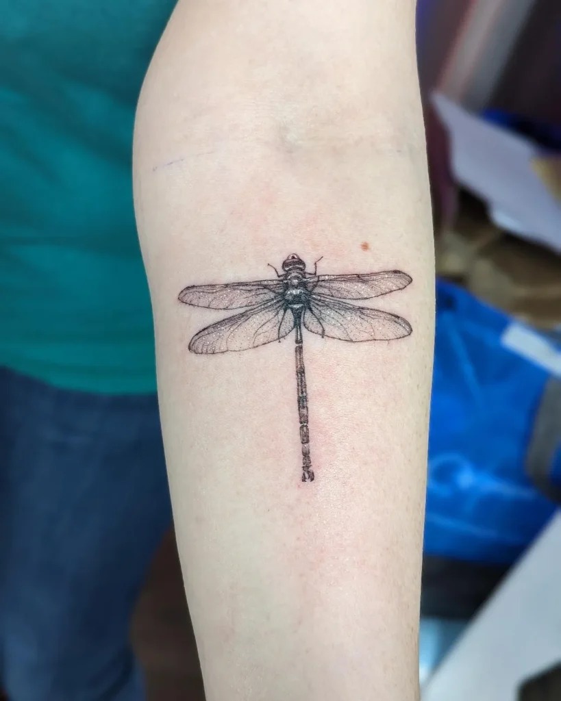 Precision in Detail: The Fine Line Dragonfly Tattoo Design