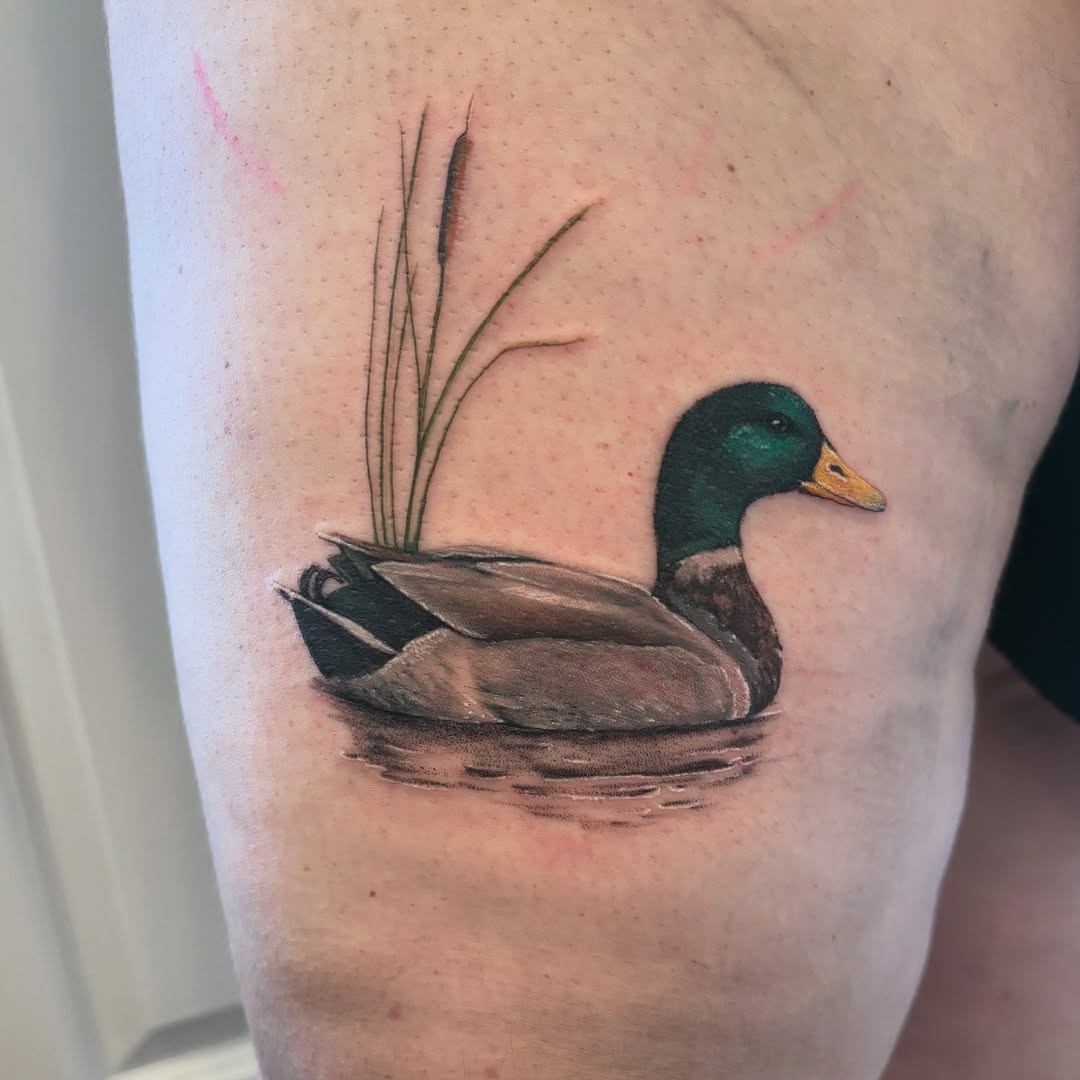 Charming Mallard Duck Tattoo on Skin Tattoo Design