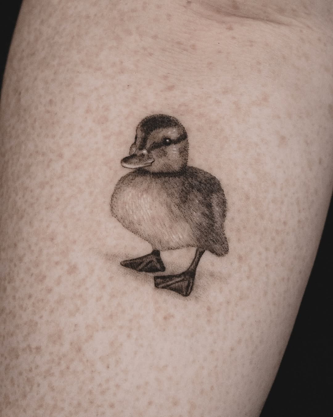 Charming realistic duck tattoo showcasing fine details Tattoo Design