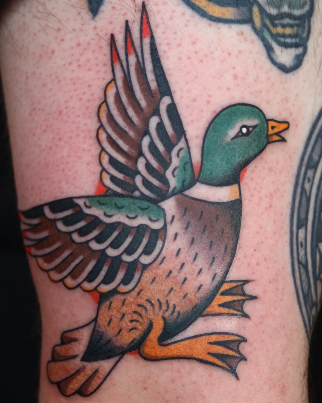 Elegant flying duck tattoo showcasing vintage flair Tattoo Design