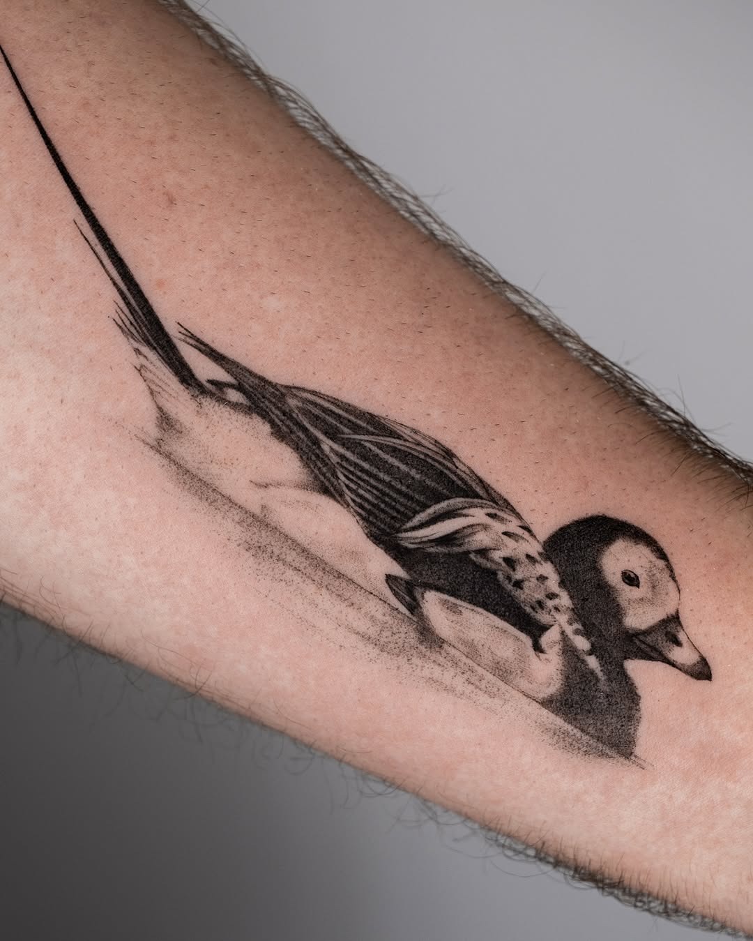 Stunning realistic duck tattoo design in black ink Tattoo Design