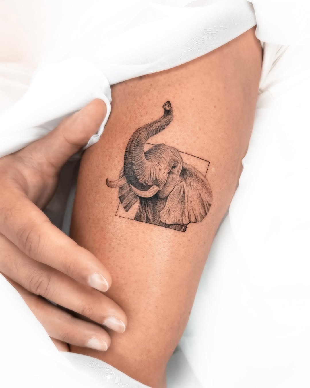 Stunning Realistic Elephant Tattoo on Arm Tattoo Design