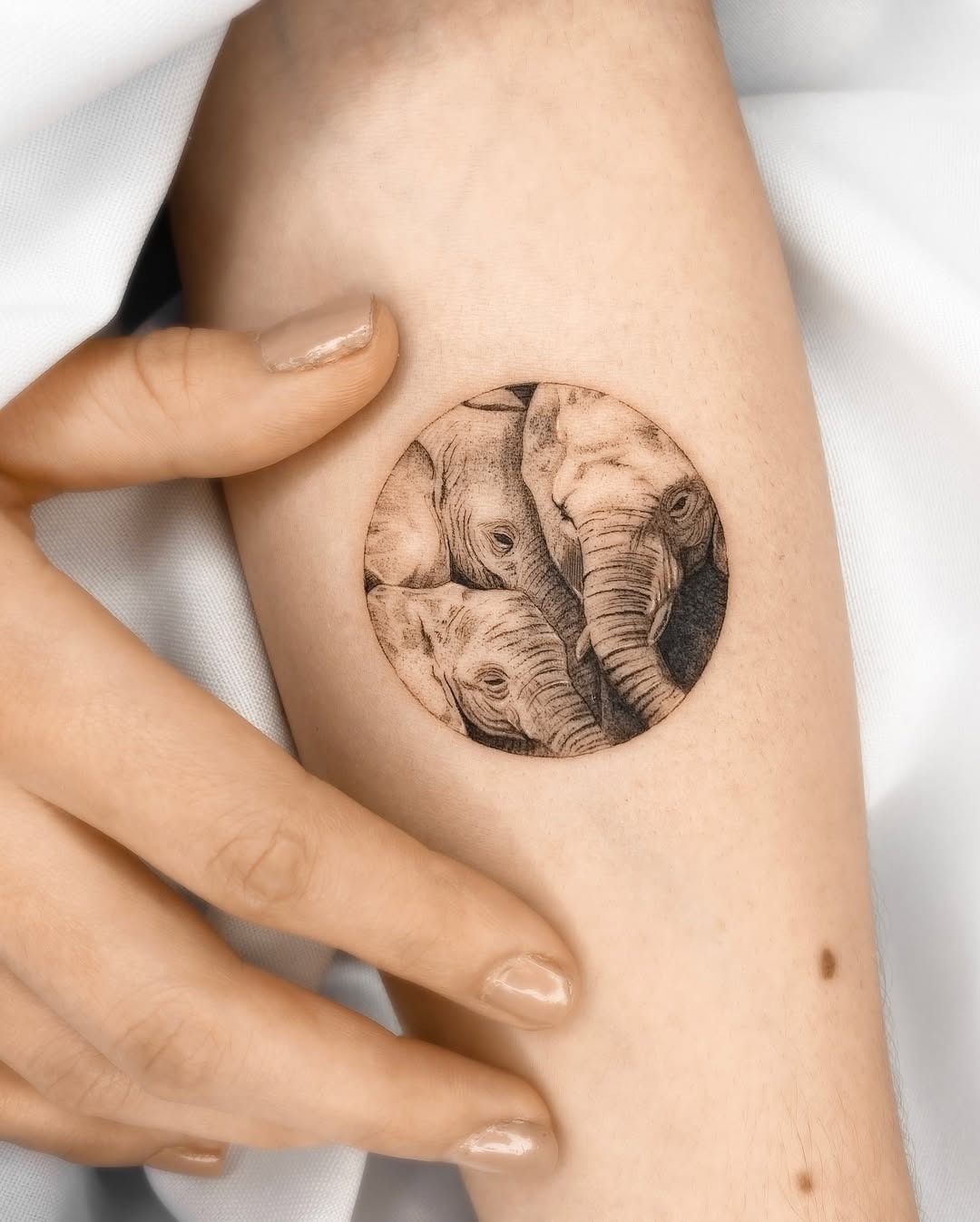 Symbolic family elephant tattoo in circular design Tattoo Design