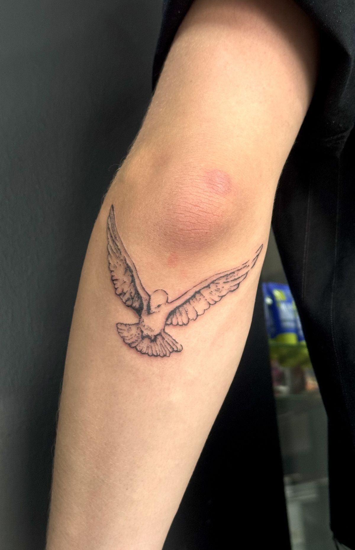 Dove in Flight Inner Arm Tattoo Tattoo Design