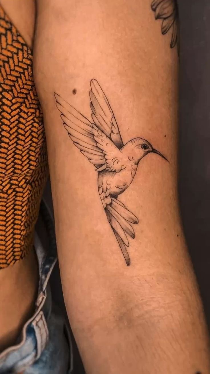 Shaded Hummingbird Upper Arm Tattoo Tattoo Design