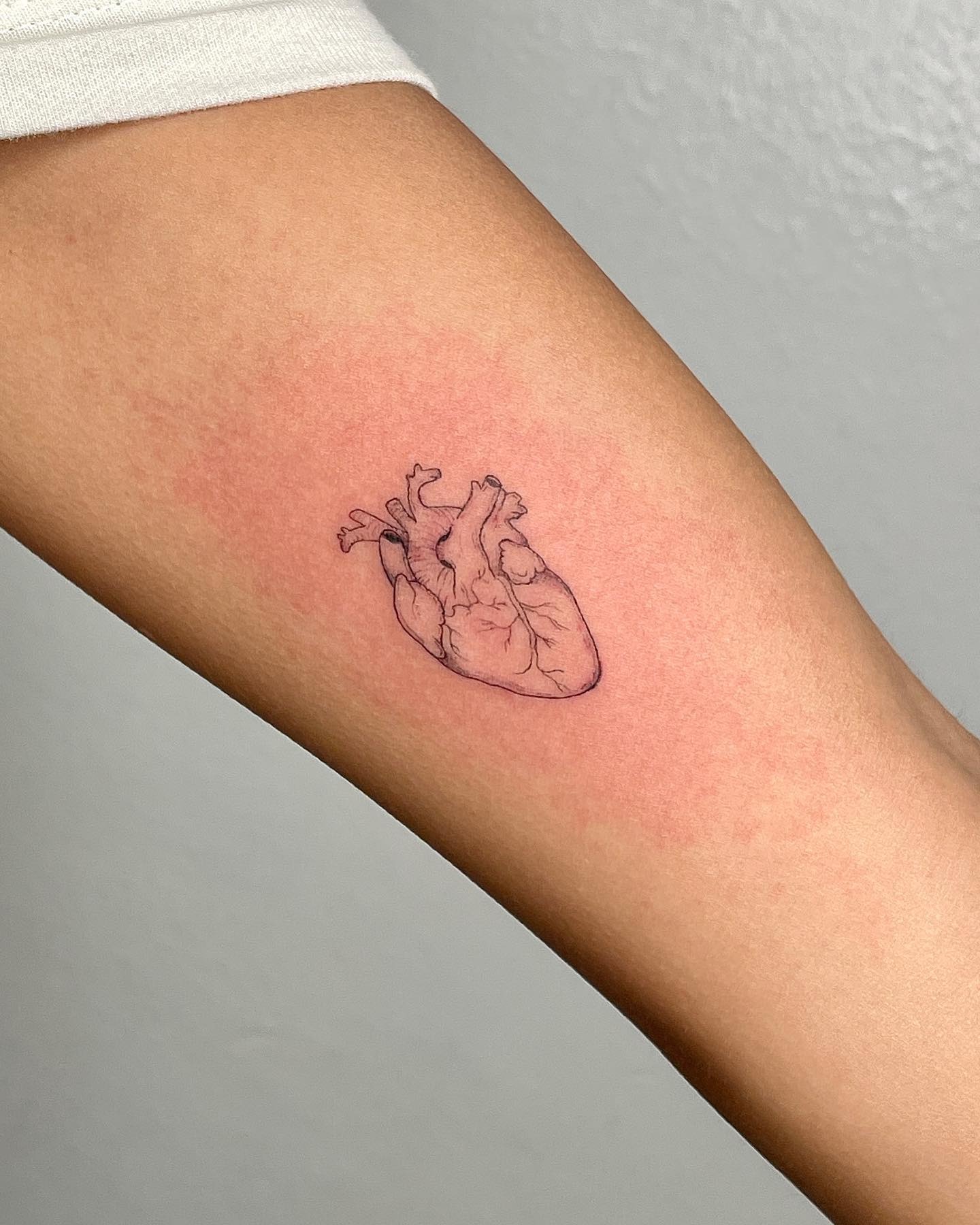 Minimal Fine Line Anatomical Heart Tattoo Tattoo Design
