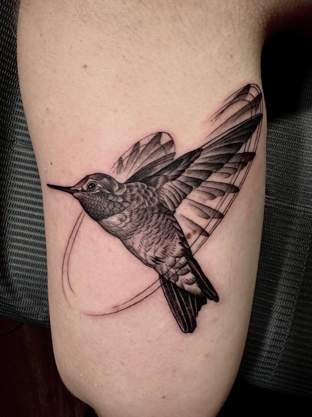 Black and Gray Realistic Hummingbird Tattoo Tattoo Design
