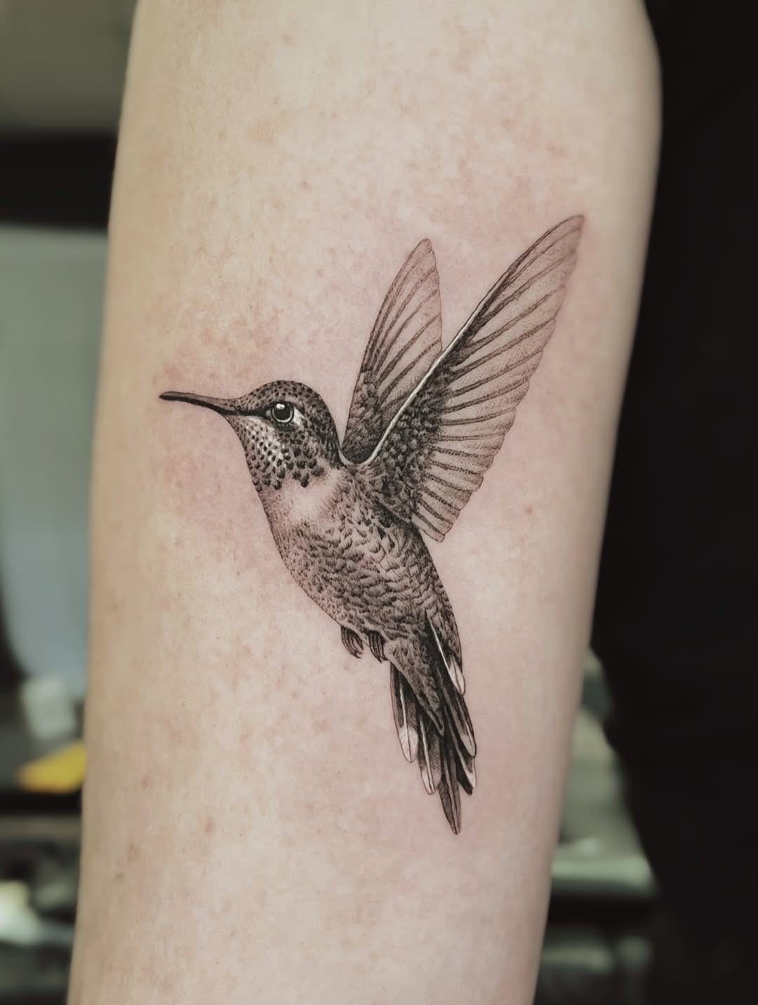 Black and Gray Realistic Hummingbird Tattoo Tattoo Design