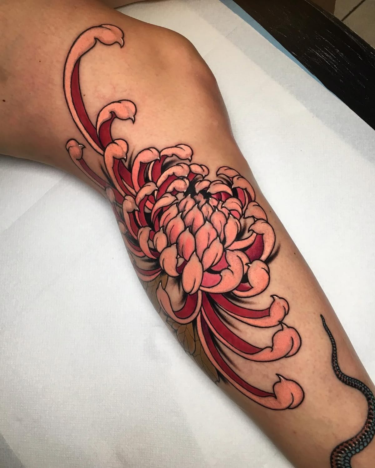 Full Design Sleeve with Vibrant Peonies Tattoo Design