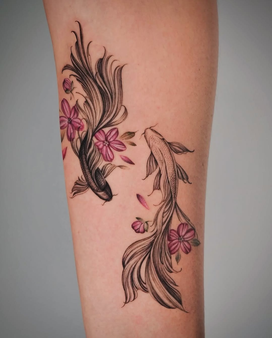 This tattoo features two beautifully detailed koi fish swimming among delicate pink flowers.